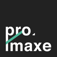 PROIMAXE Logo