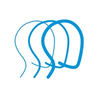 The Brain Injury Association of Delaware Logo