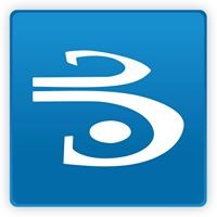 BONNIEU EXPERTISE Logo