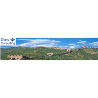 Zhang Consulting AB Logo