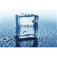 cubusiness Logo