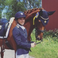 Leideborg Equestrian AB Logo