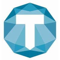 Terrestris Vermessungs GmbH Logo