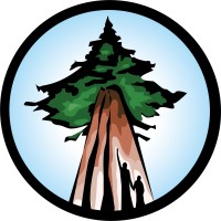 Ancient Forest Alliance Logo