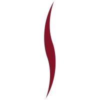 Satya Capital Logo