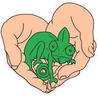 Friends of Scales Reptile Rescue Logo