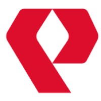Peeters IT Consultancy Logo