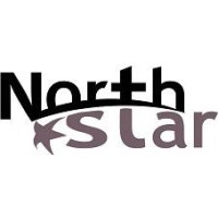 North Star Srl Logo