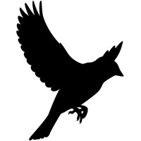 Jamie Bird Graphic Design & Photography Logo