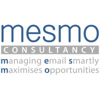 Mesmo Consultancy Logo