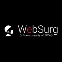 WebSurg (IRCAD) Logo