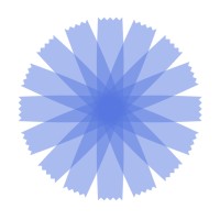Chicory Wealth Logo