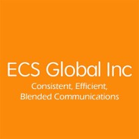 ECS Global Inc Logo