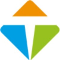 The Brave Solution - TBS Logo