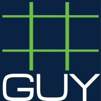 The Numbers Guy, LLC Logo
