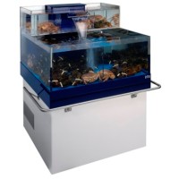 Homarium Belgium Logo