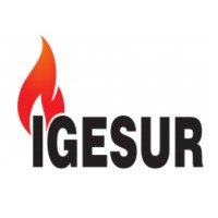 IGESUR Soluciones Técnicas Logo