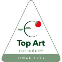 Top Art International Logo