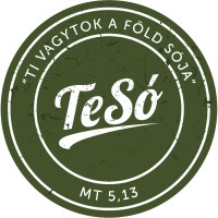 TeSó blog Logo