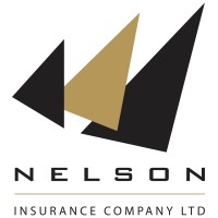Nelson Insurance Logo