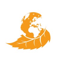 Italproget srl Logo