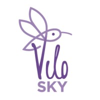 Vilo Sky Logo