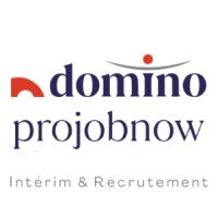 Domino Projobnow Logo