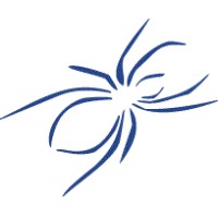 BlueSpider IT Ltd Logo