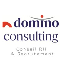 Domino Consulting Logo