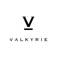 VALKYRIE Logo