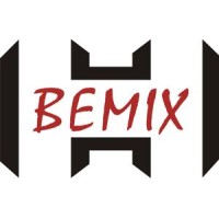 P.W. BEMIX Sp. z o.o. Logo