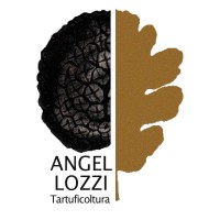 Angellozzi Tartuficoltura Logo