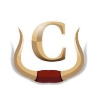 Casillas Accountancy Group Inc. Logo