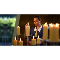 Lutheran Education Queensland Logo