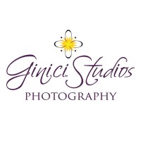 Ginici Studios Logo