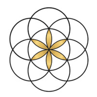 Goshas Organics Logo