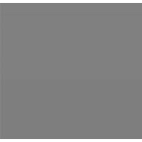 BazPAY - Payment Provider Logo