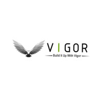 Vigor Biz Logo