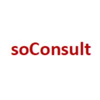 soConsult AG Logo