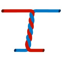 Twisted Pair Logo