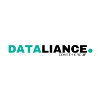 DataLiance Logo