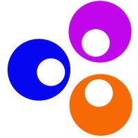 The Peer Learning Institute Logo