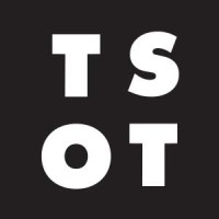 THE SHAPE OF THINGS STUDIO Logo