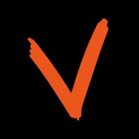 vAudience Logo
