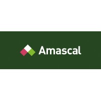 AMASCAL Logo
