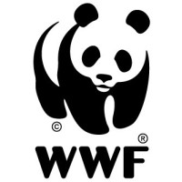 WWF Myanmar Logo
