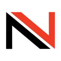 Netica Digital Agency Logo