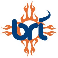 Brownrice Internet Inc. Logo