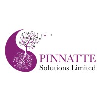 Pinnatte Solutions Ltd Logo