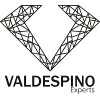 ValdespinoEXP Logo